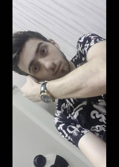 Owl Image