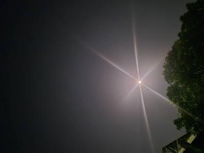 Owl Image